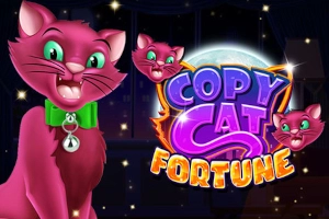 20445 copy cat fortune